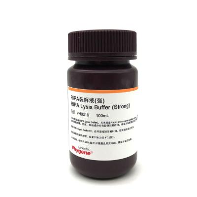 PH0316 | RIPA裂解液(强) RIPA Lysis Buffer (Strong)