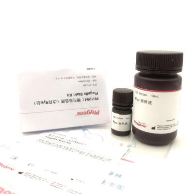 PH1249 | 鞭毛染色液（改良Ryu法）Flagella Stain Kit