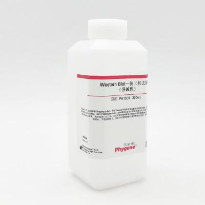 PH1500 | Western Blot一抗二抗去除液（强碱性）