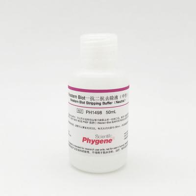 PH1498 | Western Blot一抗二抗去除液（中性）