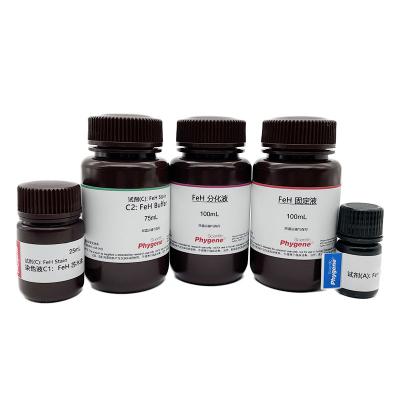 PH1217 | 磷脂铁苏木素（FeH）染色液 Phospholipid iron hematoxylin (FeH) staining solution