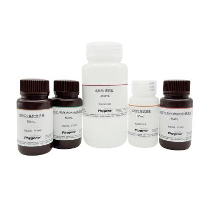 PH1210 | 改良Bielschowsky神经染色液 modified Bielschowsky Nerve Staining Solution